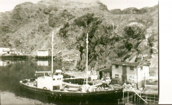 08 The Bertha Joyce captained by Ray Berkshire, picking up salt fish at Lockyer's wharf. Credit: Maude Lockyer-Hollett
The Bertha Joyce II was built as the "Annetta Lovetta" at Hillview, Trinity Bay, Newfoundland by George Bennett of Port Aux Bras in 1935, 60 gross tons, official number 159657.&amp;nbsp;This vessel was purchased by Captain Ray Berkshire of Spencer's Cove in the early 60s and he changed the name to the Bertha Joyce. The Bertha Joyce was used as a freight and collector boat in Placentia Bay and continued that role when sold to Harry Wareham of St. John’s in 1972.&amp;nbsp;Later it was purchased by Tom Brewer of Southern Harbour (formerly of Davis Cove) and he changed the name to the Placentia Bay Queen and used it mostly as a tour boat.&amp;nbsp; It was scrapped at Fermeuse in the early 2000s.